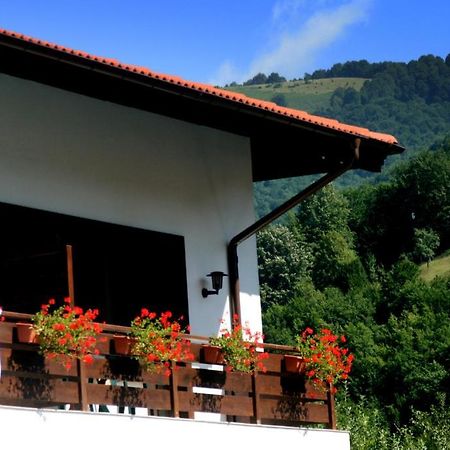 Spa Hotel Planinata Ribarica Szoba fotó