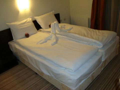 Spa Hotel Planinata Ribarica Szoba fotó